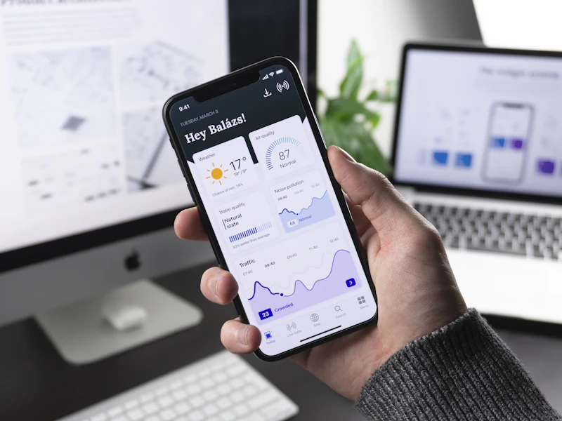 Mobile application interface on a smartphone